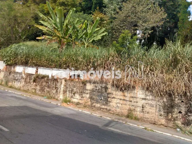 Venda Lote-Área-Terreno Centro Santa Luzia