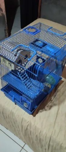 Gaiola para ramister o outro animas pequeno troca ou venda leia