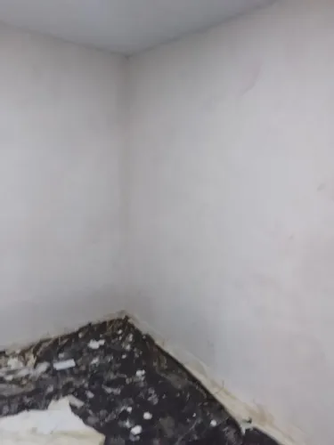 Reforma e pintura 