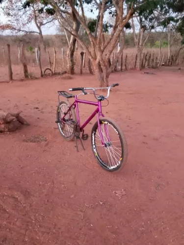 Bicicleta