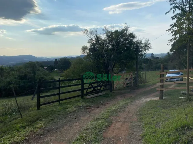 Sítio de 4 hectares rico em água - nascente na gruta