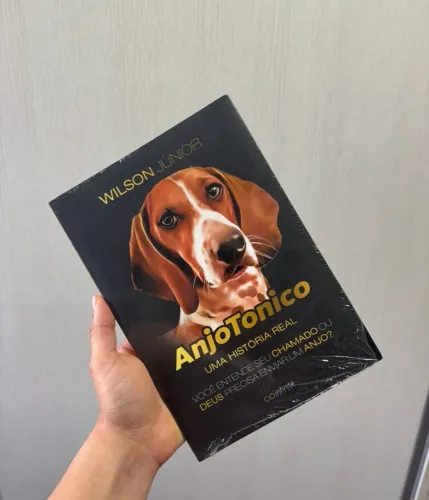 Livro Anjo Tonico | Novo e Lacrado