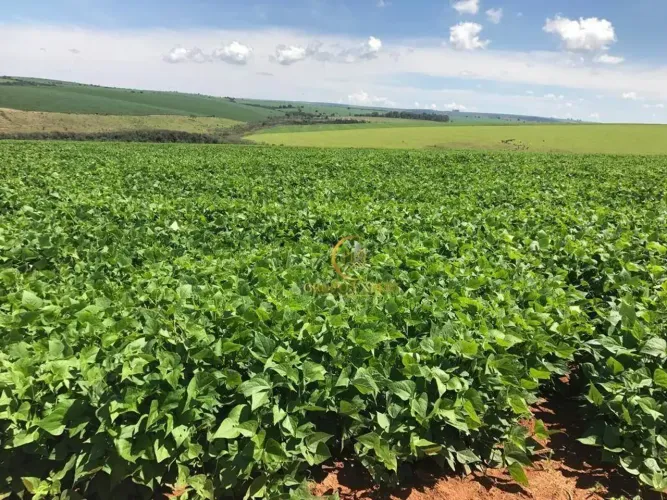 FAZENDA DE CAFÉ 5.060 HA A VENDA NO TRIÂNGULO MINEIRO MINAS GERAIS!