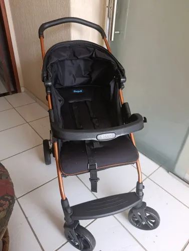 Carrinho Burigotto ecco