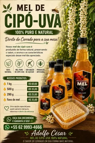 Mel 100% puro