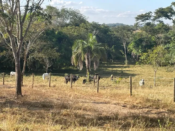 Fazenda/Sítio/Chácara para venda possui 13651 metros quadrados em Setor Central - Uruana -