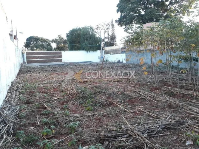 terreno - Cidade Universitária - Campinas