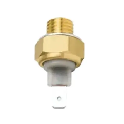 Sensor Partida Frio Chevette Marajó Chevy 500 Monza Após 81