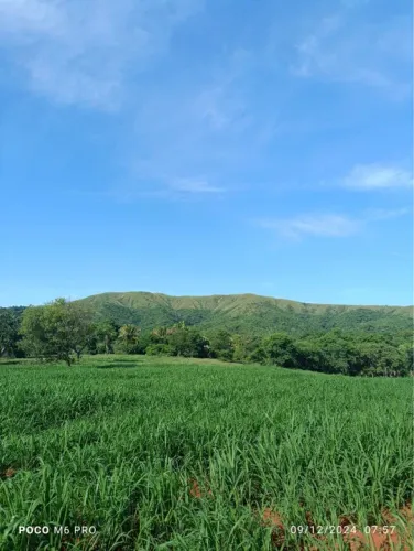 Excelente fazenda dupla aptidão lagamar de minas 