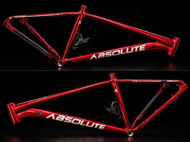 Quadro Semi-novo Absolute Wild Boost 