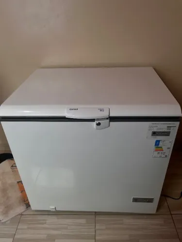 Freezer cônsul 309L 