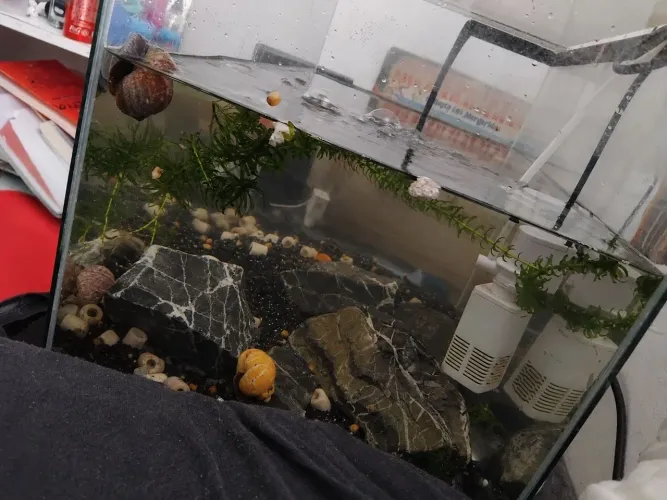 Aquário 50 lts trincado