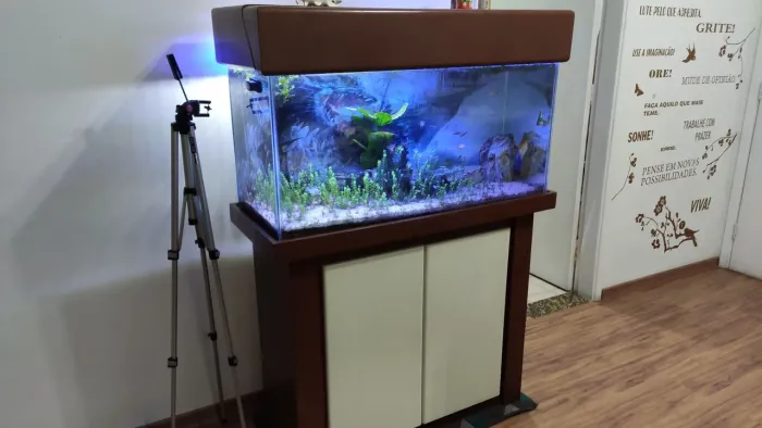 Aquário 200 Litros com móvel