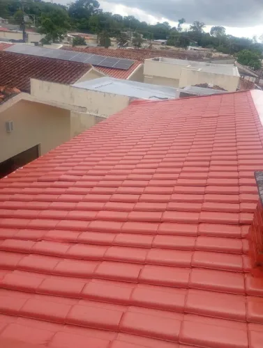 Pintor profissional 