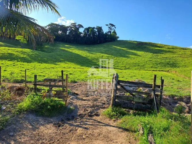 Sítio com 3 dormitórios à venda, 338800 m² por R$ 1.800.000,00 - Palmital - Casimiro de Ab