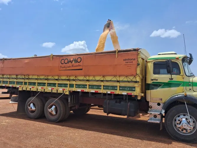VENDO MERCEDES-BENZ L-1313 - FORTE, ECONÔMICO E PRONTO PARA O TRABALHO!