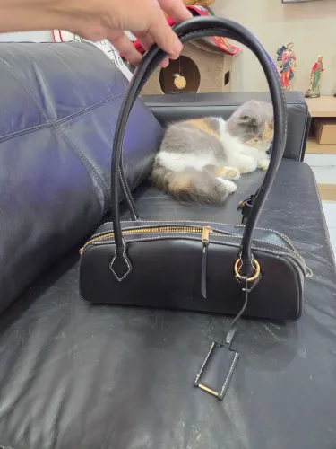 Bolsa tote Santa Lola 