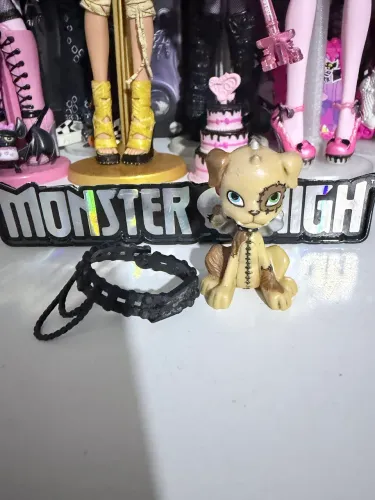 pet e cinto frankie básica