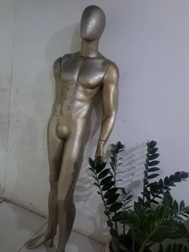 Manequin inteiro conservado 