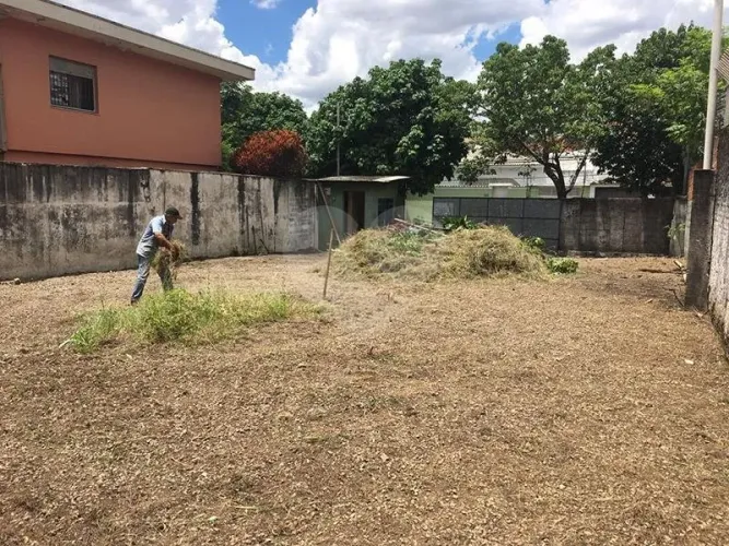 Terreno à venda em Vila cordeiro - SP