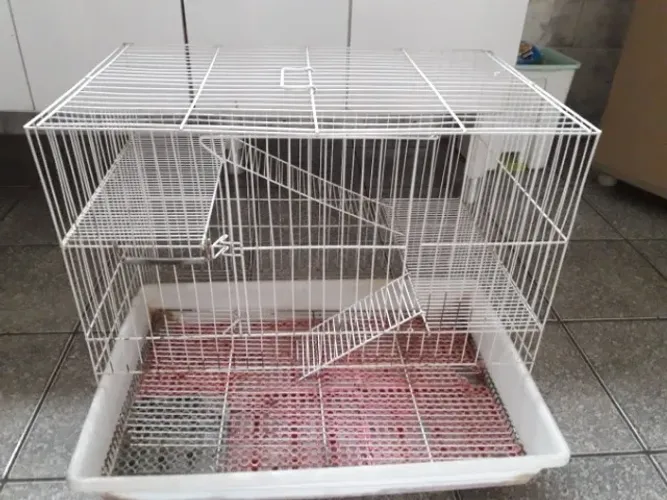 Gaiola de Chinchila ou Ramster