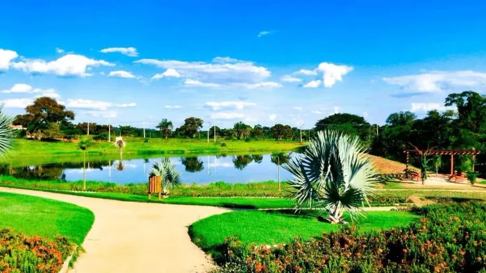 Terra Santa / condomínio Galiléia/ lote de 1239 metros