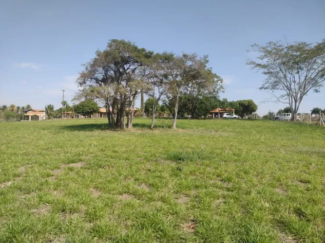 VENDO CHÁCARA EM SERTANÓPOLIS