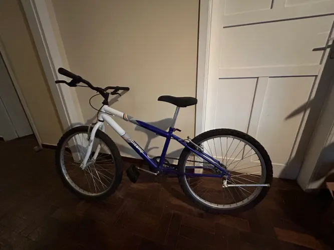 Bicicleta infantil juvenil