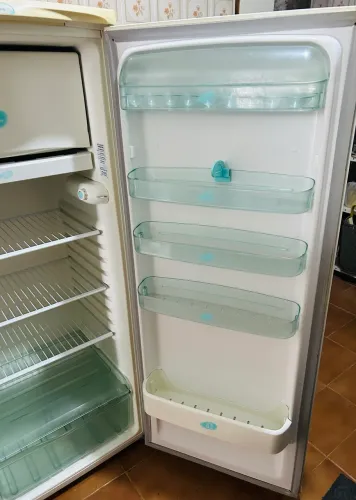 Refrigerador Electrolux R310 com degelo