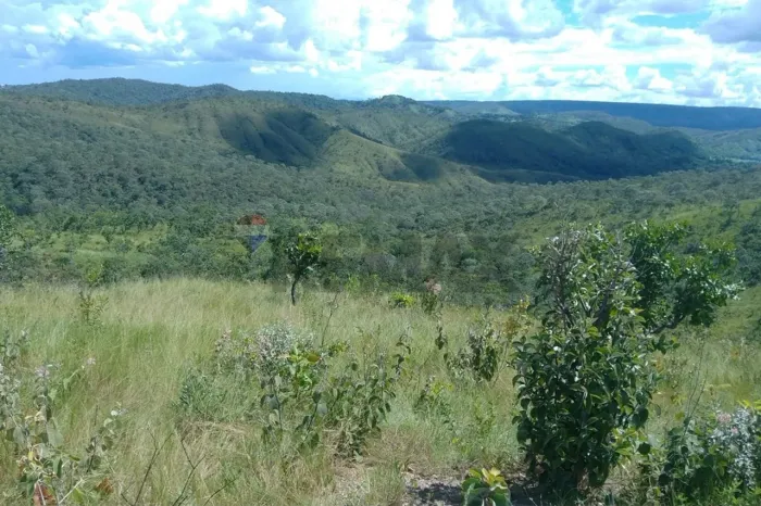 FAZENDA de 180 hectares, PECUÁRIA, em Formosa-GO.