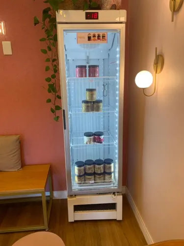 Freezer Vertical