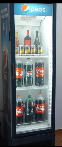 Freezer 2.200,00
