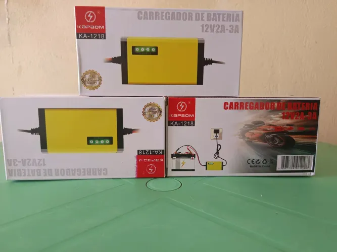 Carregador de bateria veicular