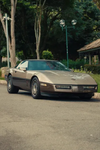 Chevrolet Corvette 5.7/ 6.0, 6.2 Targa/stingray 1991
