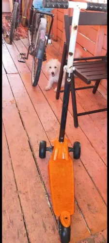 Vendo 2 patinete por 100