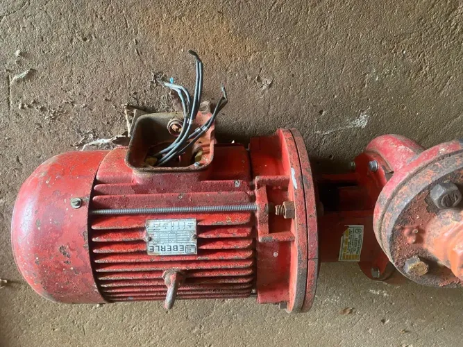 Motor Trifásico Eberle 15CV 3500 RPM + Bomba Acoplada - Usado