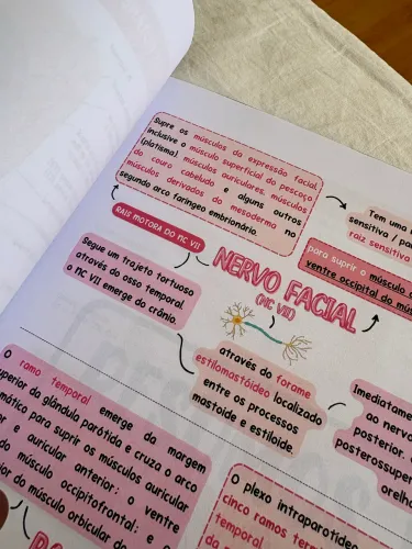 Apostila Anatomia Cabeça e Pescoço 