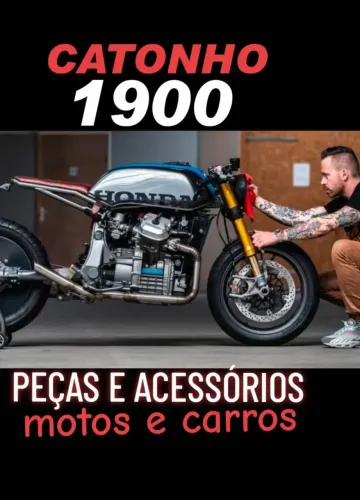 Bengalas/canelas triumph 1050r speed triple 