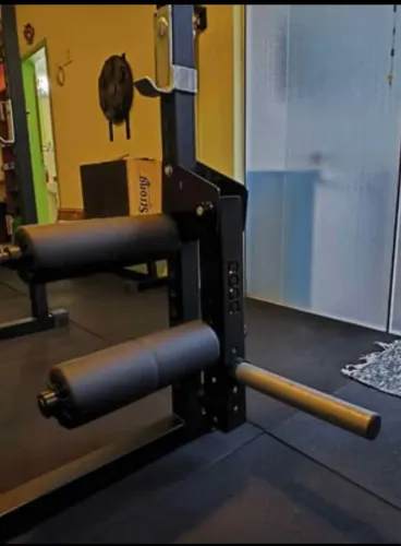 EXTENSORA E FLEXORA MÓVEL