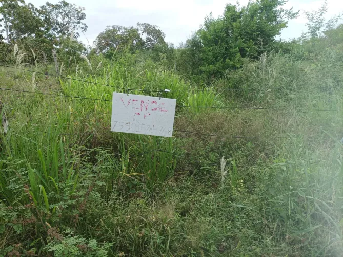 Terreno na Matinha