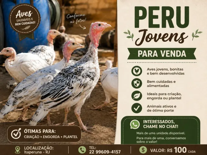 Perú a venda