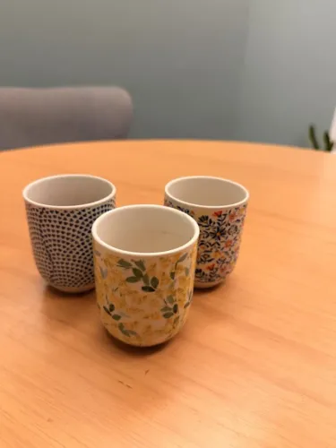 3 vasinhos de porcelana estampados para plantas pequenas