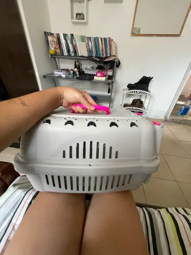 caixa de transporte para gato