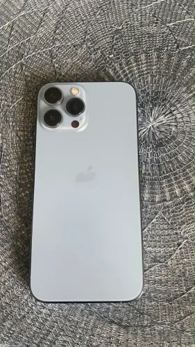 iPhone 13 Pro Max 256G
