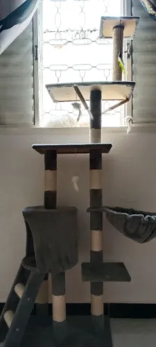 Torre para gatos