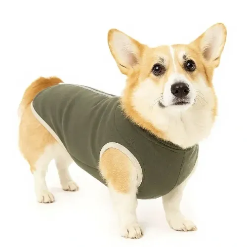 Roupa Cachorro Cirúrgica Pet Med Verde Tipo Macacão