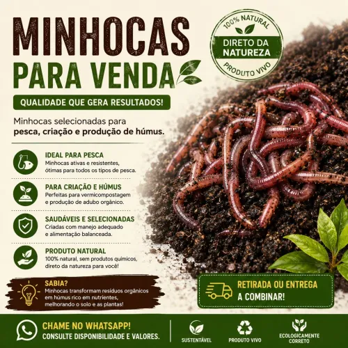 Minhocas