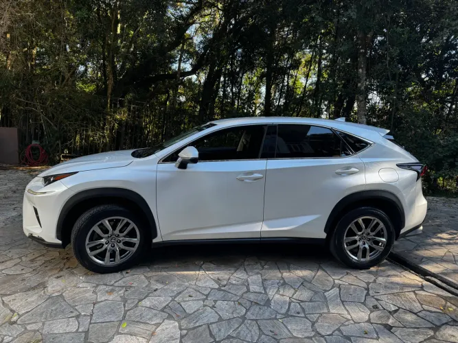 Lexus NX-300 Dynamic 2.0 16V 238cv Aut. 2018