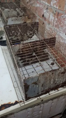 Gaiolas pra codornas