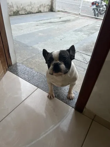 Doação 